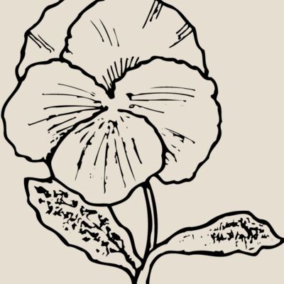 FLOWER07 Thumbnail