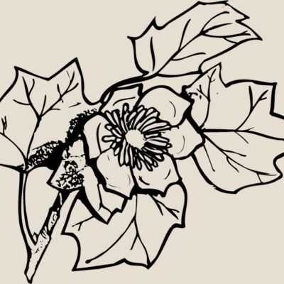 FLOWER09 Thumbnail