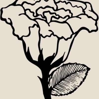 FLOWER10 Thumbnail