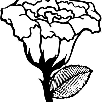 FLOWER10 Thumbnail