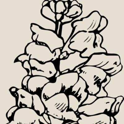 FLOWER14 Thumbnail