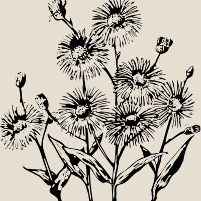 FLOWER22 Thumbnail
