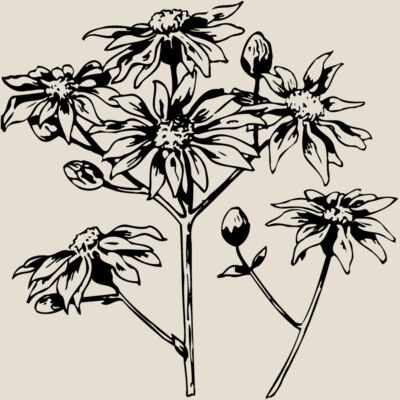 FLOWER28 Thumbnail