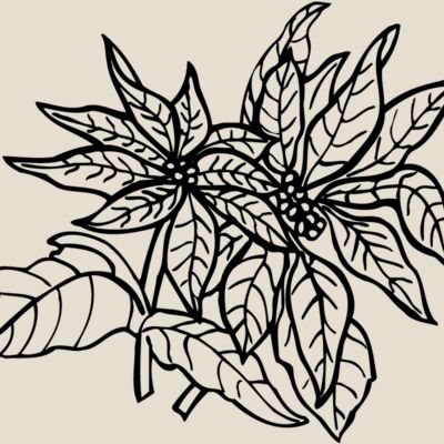 FLOWER29 Thumbnail