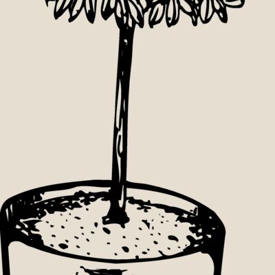 PLANT01 Thumbnail