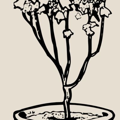 PLANT04 Thumbnail