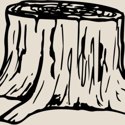 TIMBER07 Thumbnail