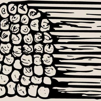 TIMBER11 Thumbnail