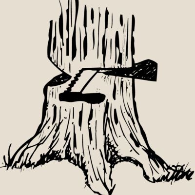 TIMBER13 Thumbnail