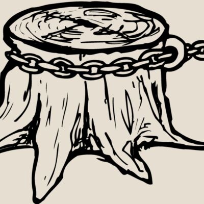 TIMBER15 Thumbnail