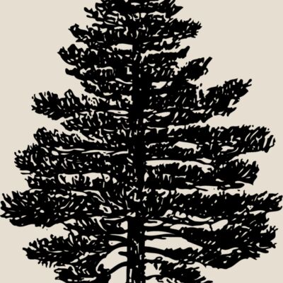 TREE0003 Thumbnail