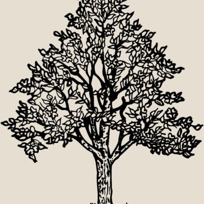 TREE0004 Thumbnail
