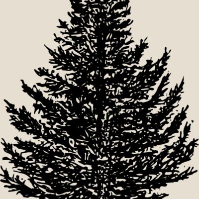 TREE0005 Thumbnail