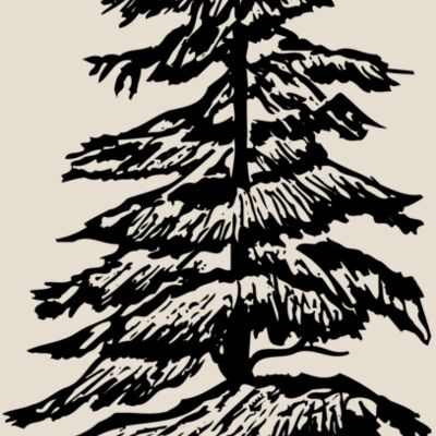 TREE0007 Thumbnail