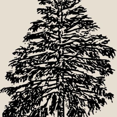 TREE0009 Thumbnail