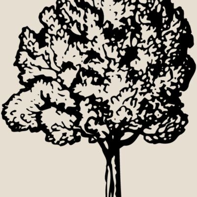 TREE0017 Thumbnail