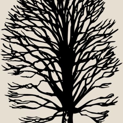 TREE0019 Thumbnail