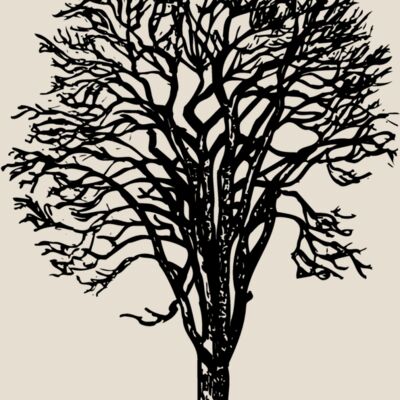 TREE0022 Thumbnail