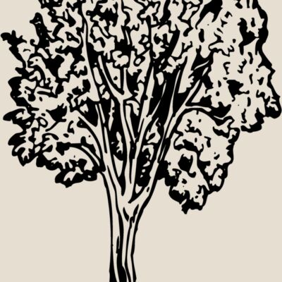 TREE0024 Thumbnail