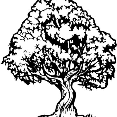 TREE0026 Thumbnail