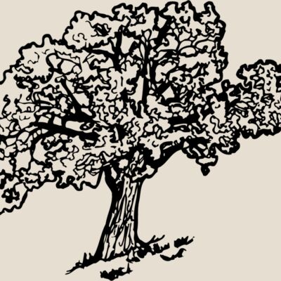 TREE0027 Thumbnail