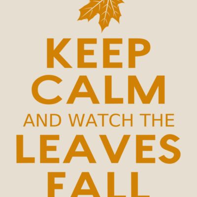 Fall Season 04 Thumbnail
