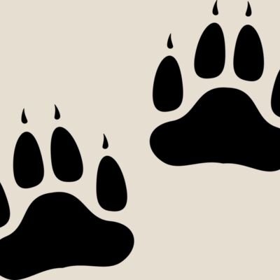 Bear   Clipart 2 Thumbnail