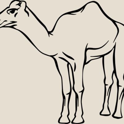 Camel   Clipart 2 Thumbnail