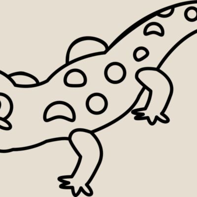 Newt   Clipart 2 Thumbnail