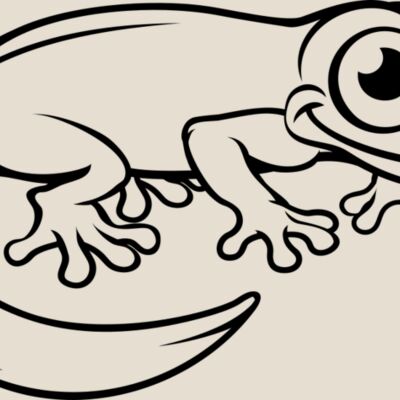 Newt   Clipart 3 Thumbnail