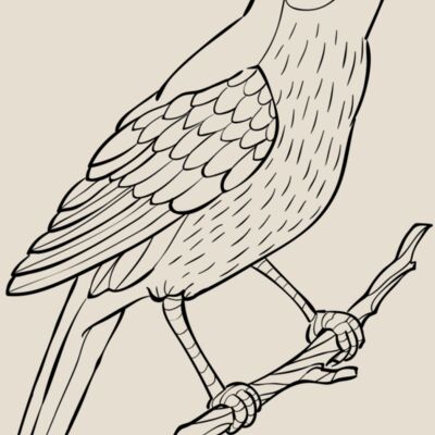 Nightingale   Clipart 2 Thumbnail