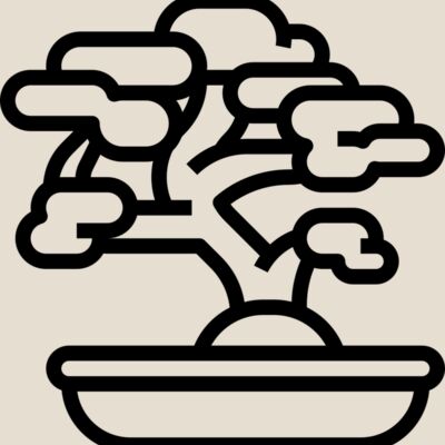 Bonsai Tree Thumbnail