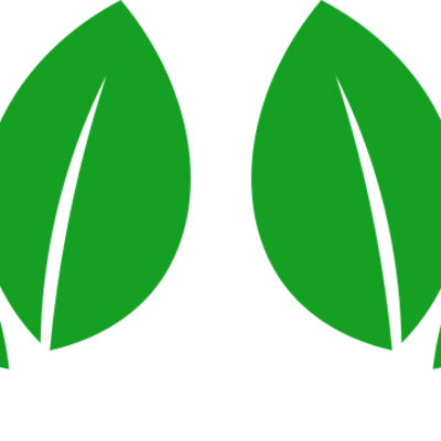 11 Leaves Thumbnail