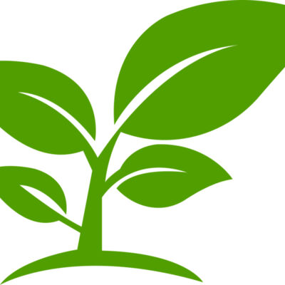 12 Leaves Thumbnail
