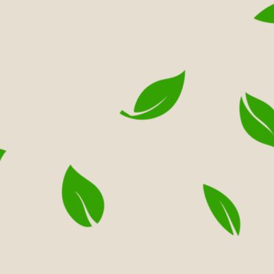 13 Leaves Thumbnail