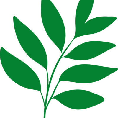 17 Leaves Thumbnail