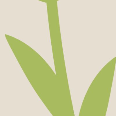 20 Flower Thumbnail