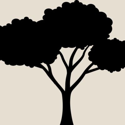 40 Tree Thumbnail