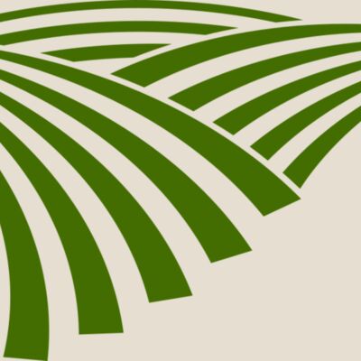 71 Rice Field Thumbnail