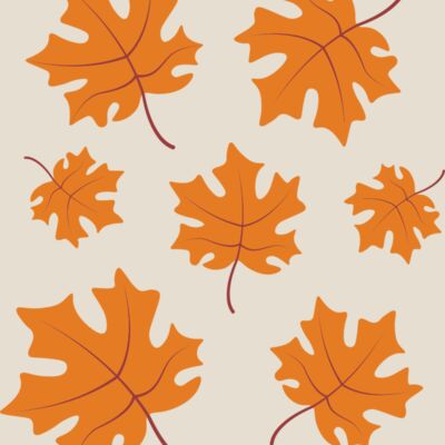 Maple Leaves Thumbnail