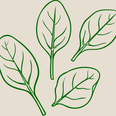 Spinach Thumbnail