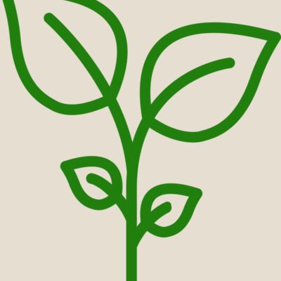 Plant Thumbnail