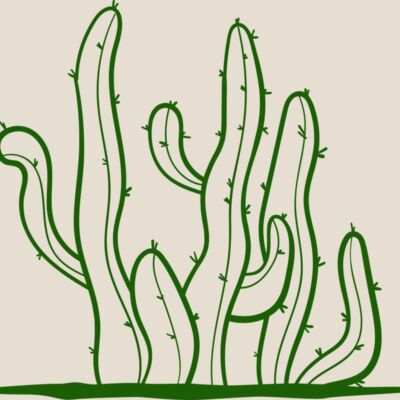 Cactus 2 Thumbnail