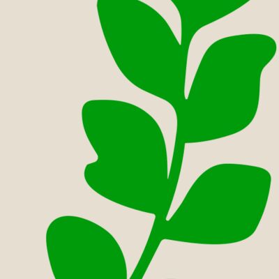 Leaves Thumbnail