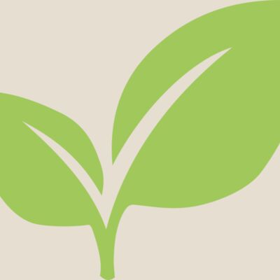 Leaves 6 Thumbnail