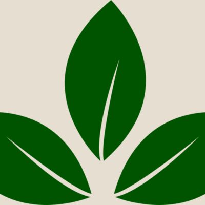 Leaves 5 Thumbnail
