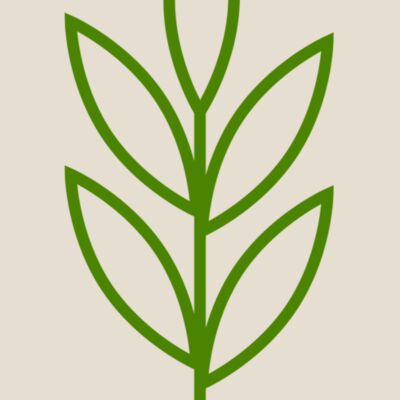 Leaves 4 Thumbnail
