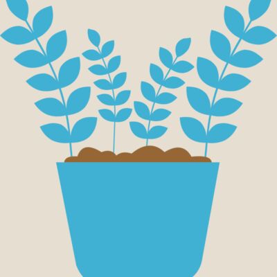 Plant 5 Thumbnail