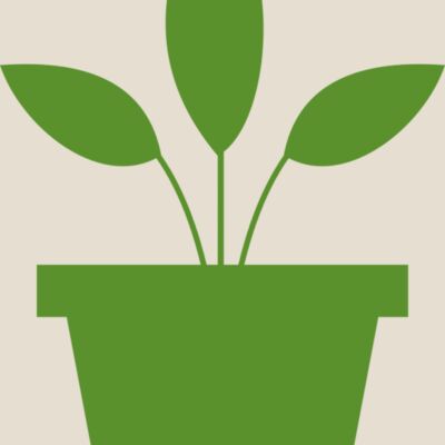 Plant 2 Thumbnail