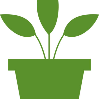 Plant 2 Thumbnail